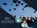 17082021-palmed-stipendium-fur-studenten-sommer-2021